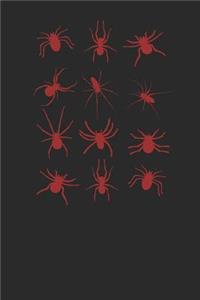 Spider Collection