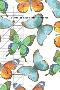 Beginners Calligraphy Workbook