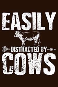 Easily Distracted By Cows