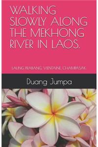 Walking Slowly Along the Mekhong River in Laos.