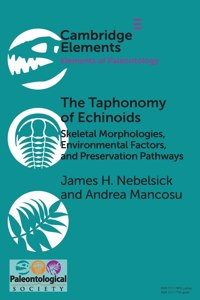 Taphonomy of Echinoids