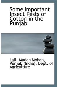 Some Important Insect Pests of Cotton in the Punjab