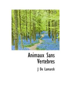 Animaux Sans Vertebres