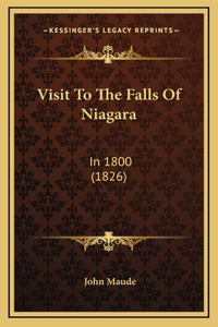 Visit To The Falls Of Niagara