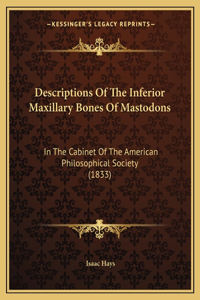 Descriptions Of The Inferior Maxillary Bones Of Mastodons