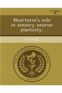 Neurturin's Role in Sensory Neuron Plasticity