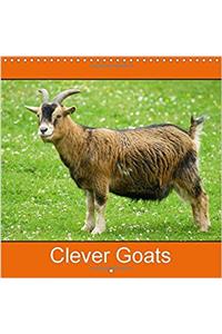 Clever Goats 2017