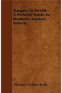 Dangers To Health - A Pictorial Guide To Domestic Sanitary Defects.