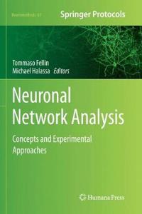 Neuronal Network Analysis