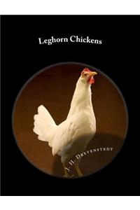Leghorn Chickens