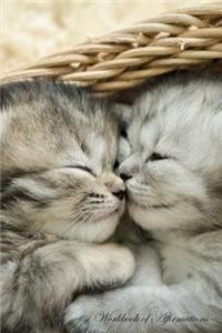 Cute Tabby Kittens Workbook of Affirmations Cute Tabby Kittens Workbook of Affirmations