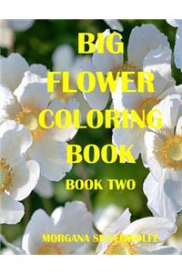 Big Flower Coloring Book