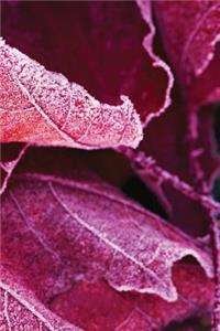 Blood Frost Leaves Journal