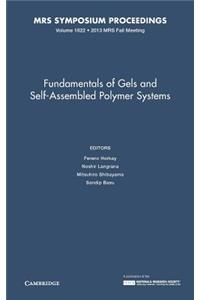 Fundamentals of Gels and Self-Assembled Polymer Systems: Volume 1622