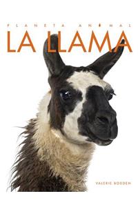 La Llama