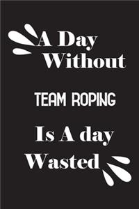 day without team roping is a day wasted