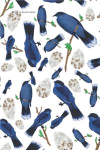 Kingbird Sketchbook