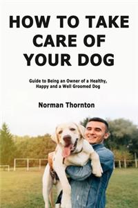 How to Take Care of Your Dog