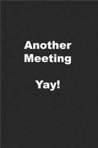 Another Meeting. Yay!
