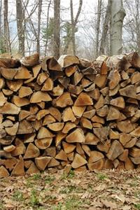 2020 Weekly Planner Cut Stacked Woodpile Forest Winter Sky Photo 134 Pages