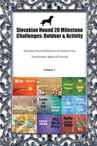 Slovakian Hound 20 Milestone Challenges
