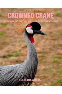 Crowned Crane