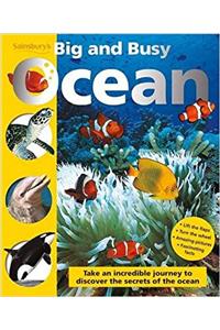 Ocean