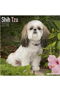 Shih Tzu Calendar 2018