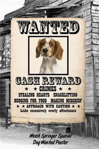 Welsh Springer Spaniel Dog Wanted Poster