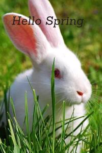Hello Spring