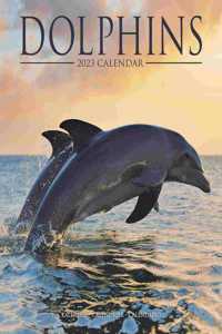 Dolphins 2023 Wall Calendar