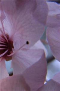 Spring Cherry Blossom Notebook