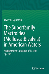 Superfamily Mactroidea (Mollusca: Bivalvia) in American Waters