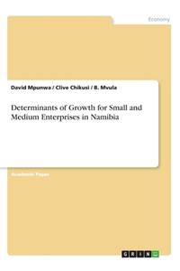 Determinants of Growth for Small and Medium Enterprises in Namibia