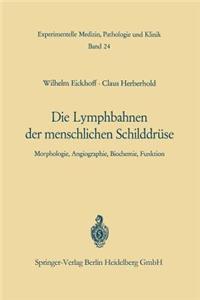 Die Lymphobahnen Der Menschlichen Schilddrüse