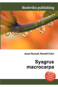 Syagrus Macrocarpa