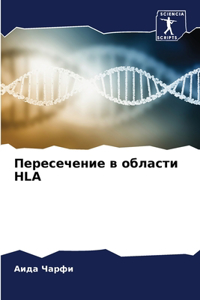 Пересечение в области HLA