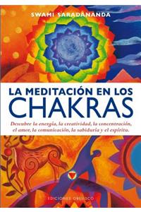 Meditacion En Los Chacras, La