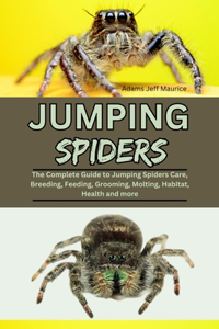 Jumping Spiders