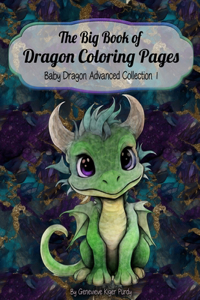 Big Book of Dragon Coloring Pages: Baby Dragons Advanced Collection 1