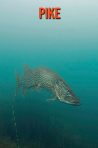 Pike