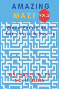 Amazing Maze Vol.2