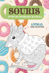 Livre de coloriage Mandala - Gros caractères - Animal - Souris