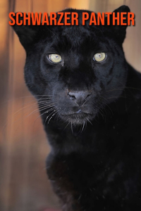 Schwarzer Panther