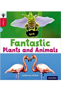 Oxford Reading Tree inFact: Oxford Level 4: Fantastic Plants and Animals