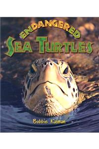 Endangered Sea Turtles