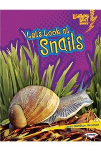 Lets Look at Snails