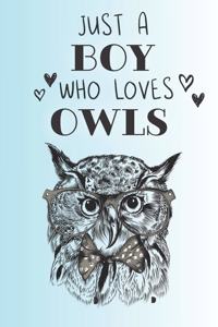 Just A Boy Who Loves Owls