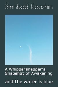 A Whippersnapper's Snapshot of Awakening