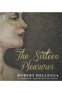 Sixteen Pleasures